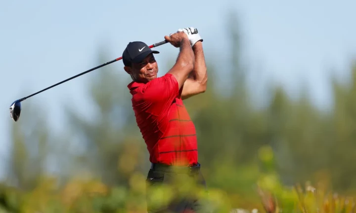 Tiger Woods không tham dự Hero World Challenge 2024